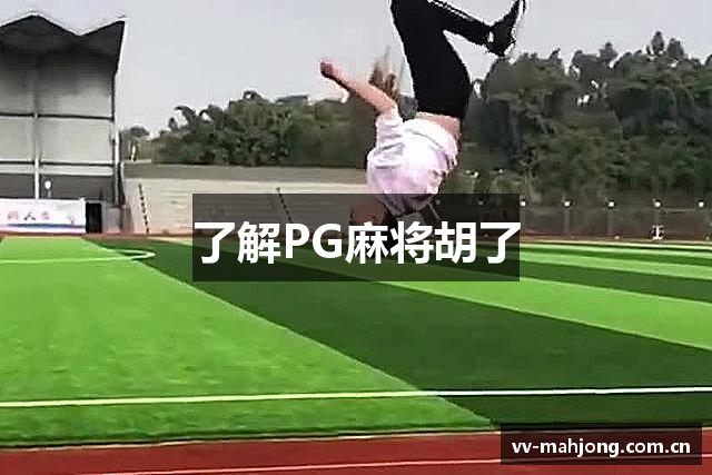 了解PG麻将胡了